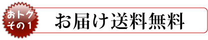 お届け送料無料