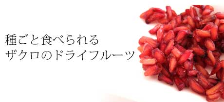 �U�N���̃h���C�t���[�c