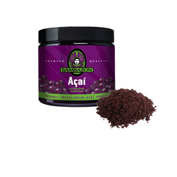 �A�T�C�[�x���[ �t���[�Y�h���C�p�E�_�[ �T���o�]���А� 90g