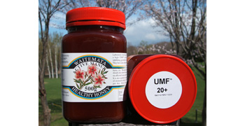 �}�k�J�n�j�[ UMF20+
