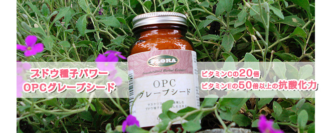 OPCグレープシード