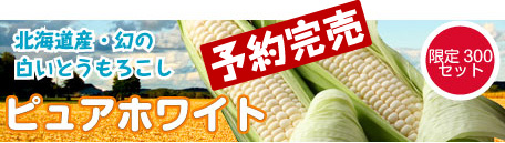 ピュアホワイトとうもろこし限定300セット