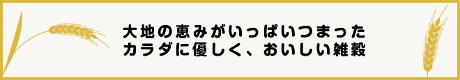 雑穀マクロビ