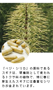 �u�x�W�E�V���J�v�̌����ł���X�M�i