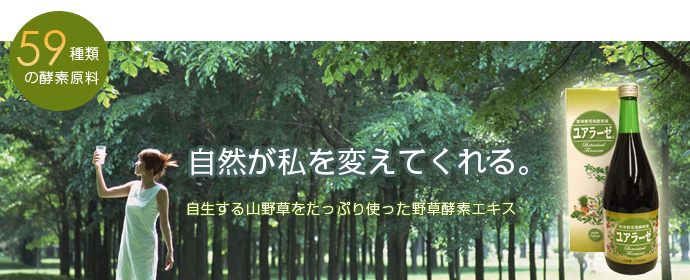 ユアラーゼ