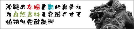 ����쑐�y�f�u�u�X�v