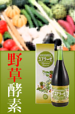 野草酵素ユアラーゼ