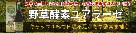 野草酵素ユアラーゼ