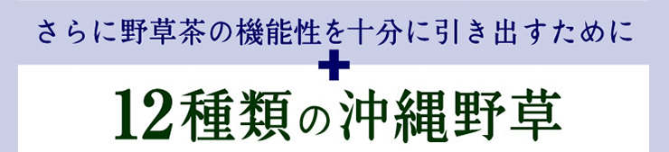 12種類の沖縄野草